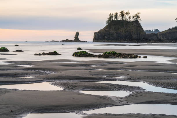 istock Second beach at mt. Olympic national park,Washington,usa. 1364139045