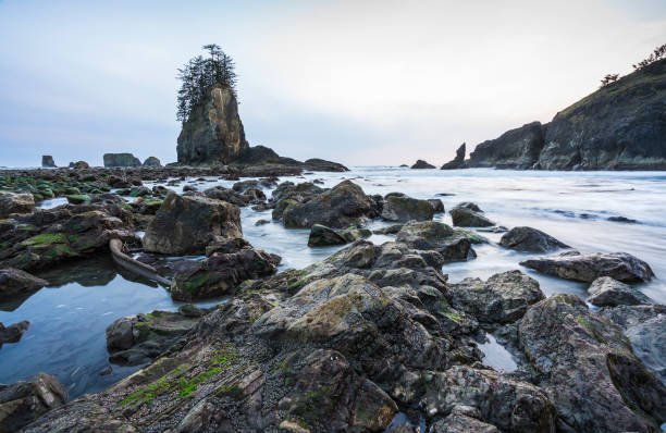 istock Second beach at mt. Olympic national park,Washington,usa. 1364139048
