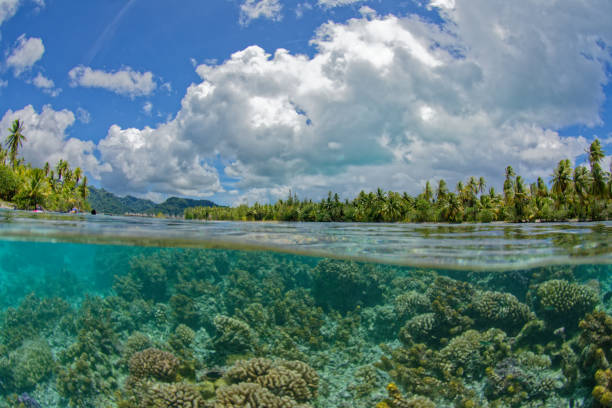 istock lagoon of tahaa 1364139251