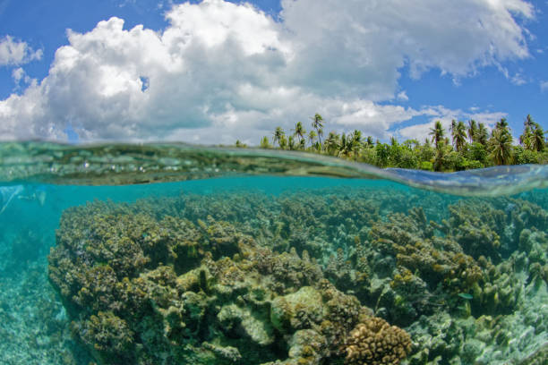 istock lagoon of tahaa 1364139252
