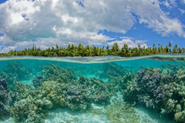 istock lagoon of tahaa 1364139278