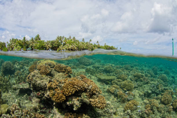 istock lagoon of tahaa and raiatea 1364140010