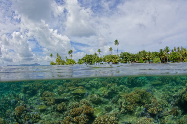 istock lagoon of tahaa 1364140098