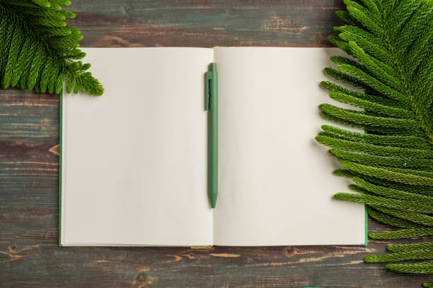 top view open book with green pen and pine leaf on wooden table background
