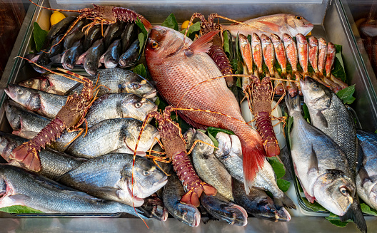 Sanya, Hainan, China - July 9, 2019: Different kinds of raw fresh seafood in water tanks at an asian seafood market in Sanya, Hainan province, China