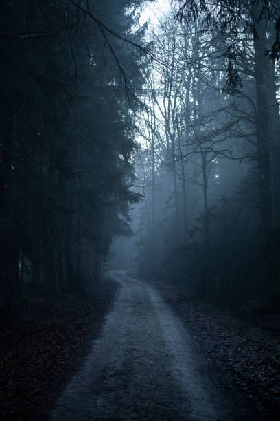 istock Misty forest in the winter. 1364152443