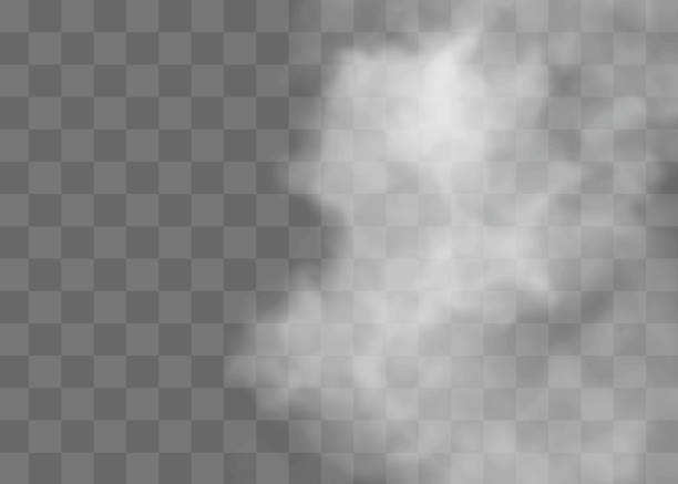 istock Fog or smoke isolated transparent special effect. White vector cloudiness, mist or smog background. Vector illustration 1364152755