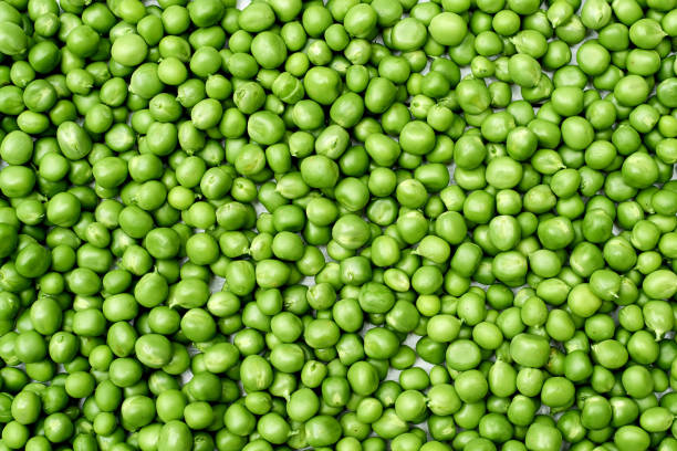 istock Fresh green peas texture background, copy space. Top view, above 1364153984