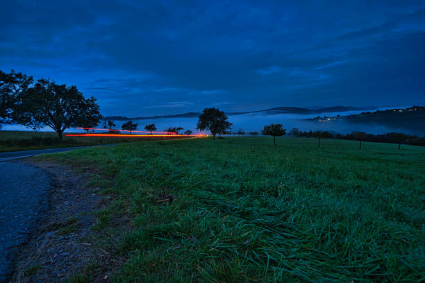 road with trees and meadows at blue hour in the evening. in the background small mountains, hills in the palatinate.