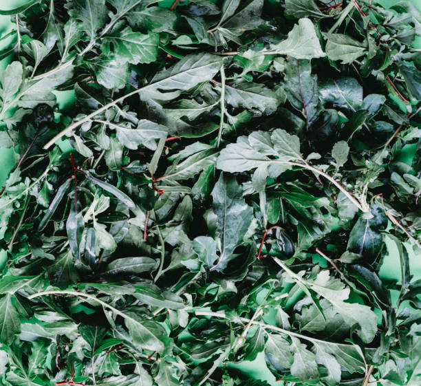 istock Fresh green vegan vitamin arugula, copy space, texture, place for text 1364158840