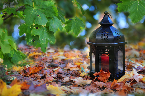 Beautiful black lantern with lit red candle in forrest surroundings. Colorful autumn foliage.