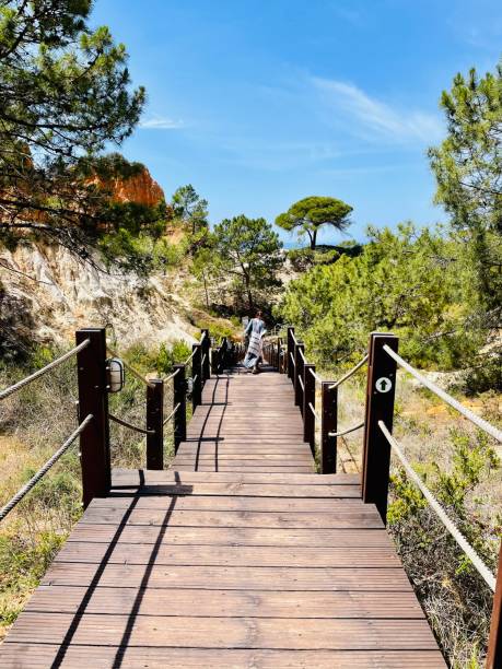 Coastal trail of  the Algarve coast. Overlooking the cliffs and ocean from the hiking trails in Albufeira , Algarve, Portugal. Beautiful coast with wooden path in Albufeira , Algarve, Portugal. Coastal trail of  the Algarve coast. Overlooking the cliffs and ocean from the hiking trails in Albufeira , Algarve, Portugal. Beautiful coast with wooden path in Albufeira , Algarve, Portugal. bottom the weaver stock pictures, royalty-free photos & images