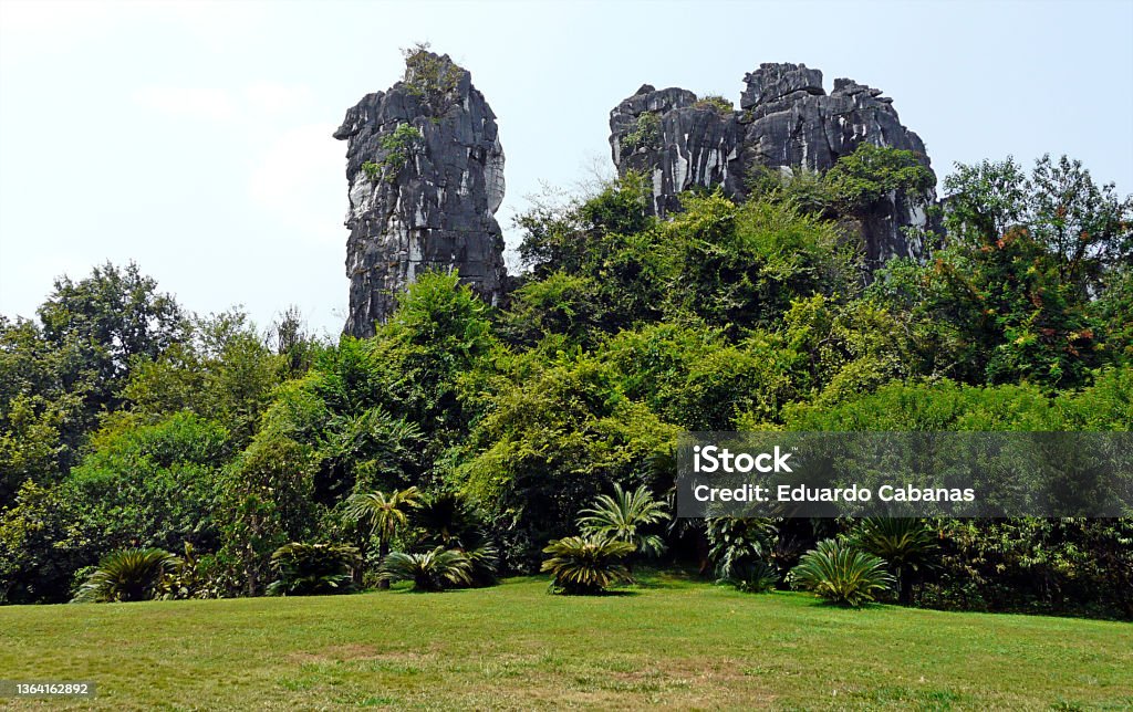 El Camello Calcareous Formation, Guilin, China It is located in the Seven Star Park of Guilin. This limestone outcrop looks exactly like a camel reclining between the trees. China - East Asia Stock Photo