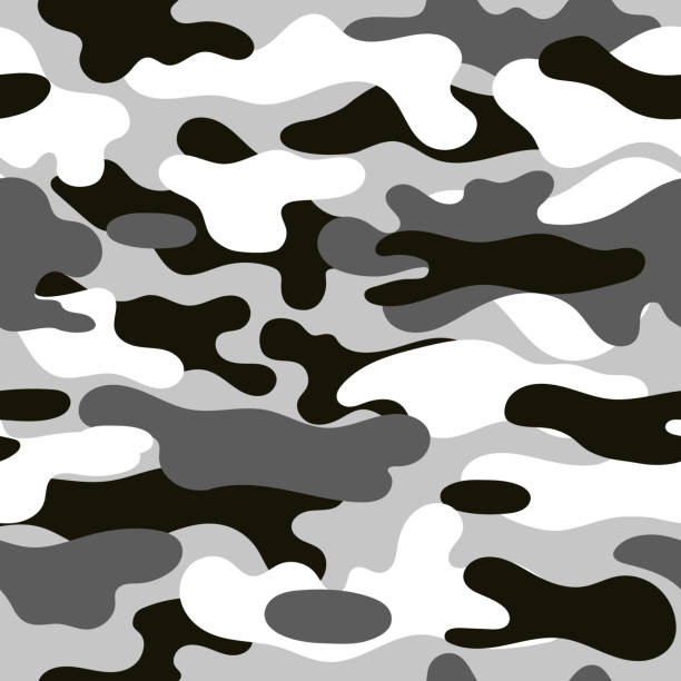 Arctic Camouflage Stock Photos, Pictures & Royalty-Free Images - iStock