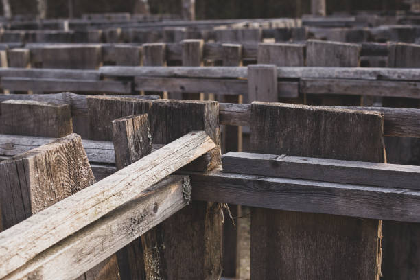 istock Old rustic grey brown wooden fence maze background 1364167684
