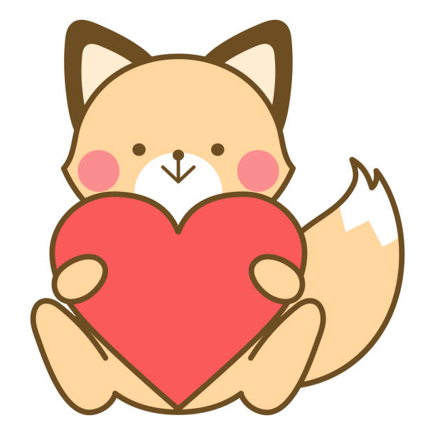 illustrations, cliparts, dessins animés et icônes de illustration d’un renard tenant un cœur - valentines day gift box happiness joy