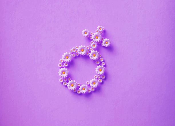 Lilac daisies forming female gender symbol  on lavender background. Horizontal composition with copy space. 8 March Women's Day concept.