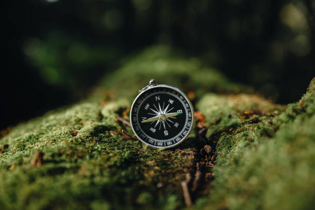 istock Compass on moss in the fertile forest. 1364171206