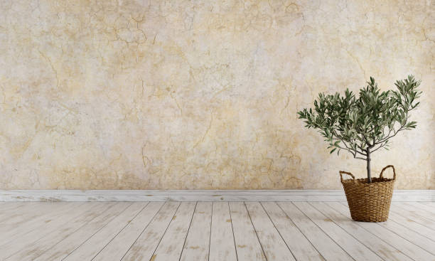 Empty room, olive tree in wicker basket against cracked, ancient wall. 3D render. stock photo