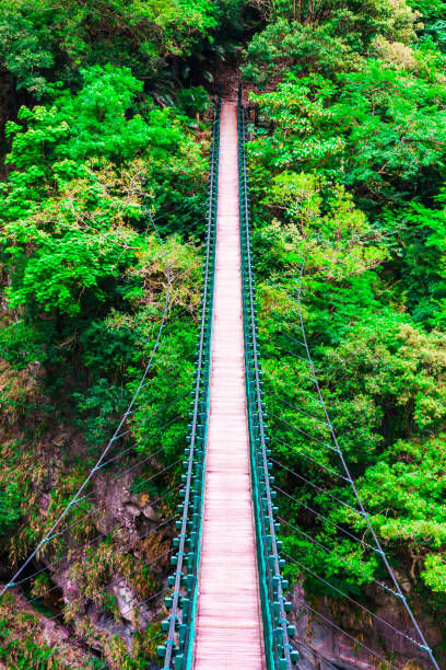 puente colgante en el parque nacional taroko en taiwán - parque nacional de gorge taroko fotografías e imágenes de stock