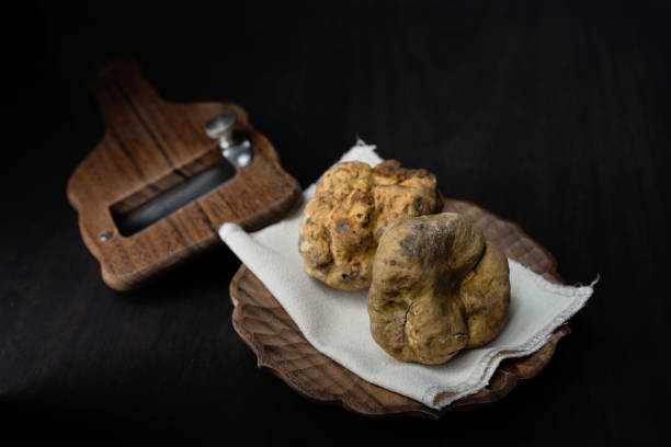 white truffle in wooden box with grater - white truffle imagens e fotografias de stock