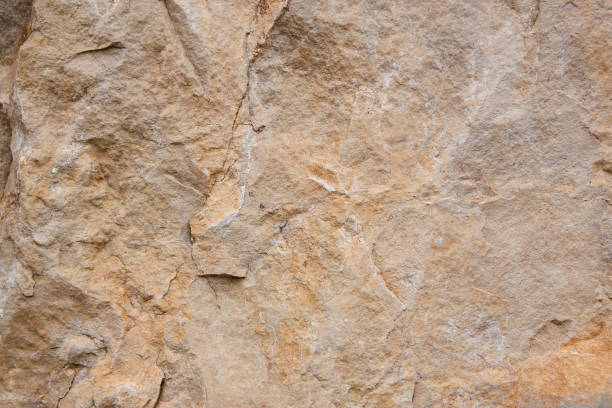 istock Natural stone background detail in warm tone. Texture 1364176541