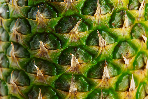 Textured surface of pineapple in full length as a background. Pineapple skin close up