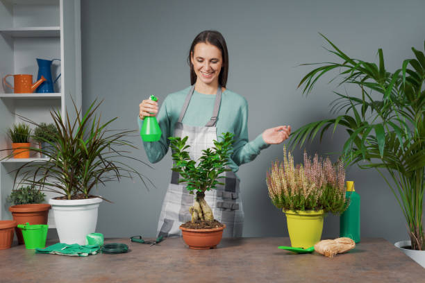 istock Woman giving gardening classes 1364177254