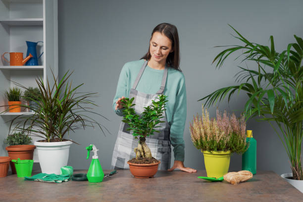 istock Woman giving gardening classes 1364177974