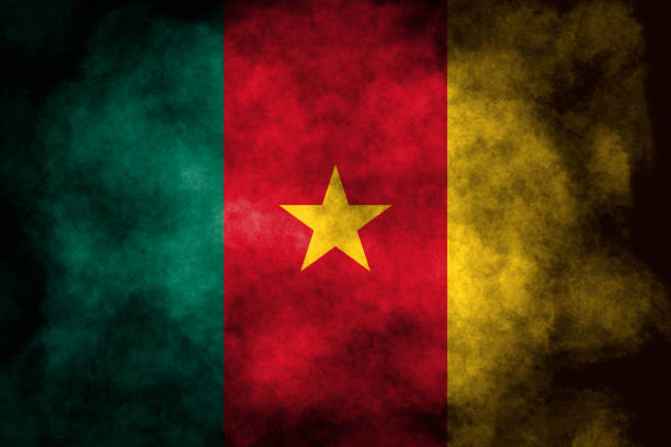 cameroon Flag on background coffee beans
