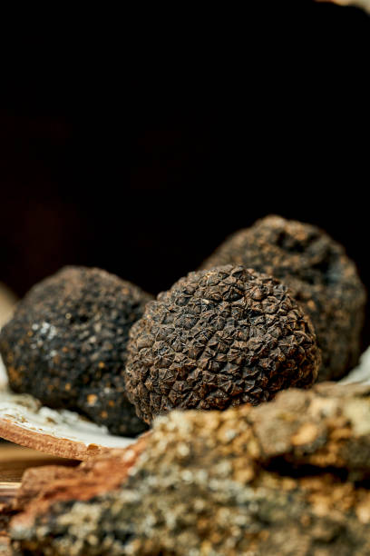 istock A whole black truffle on bark. Selective focus, close-up. Noise grain in post-production 1364183308