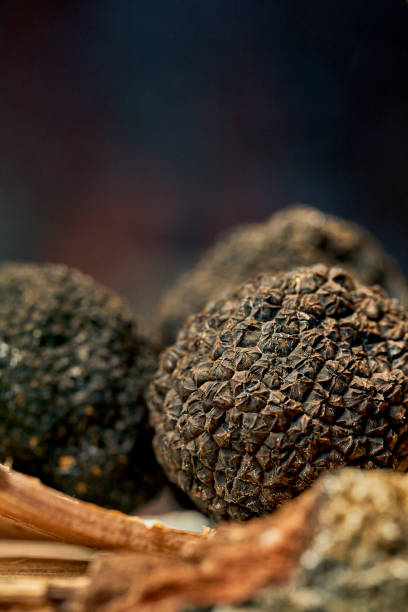 istock A whole black truffle on bark. Selective focus, close-up. Noise grain in post-production 1364183337