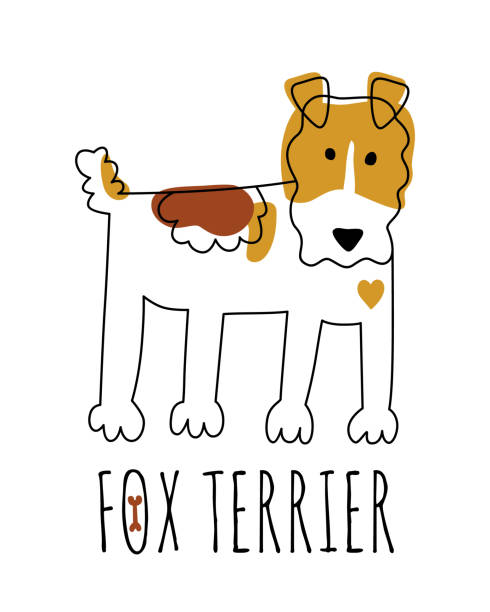 ilustrações, clipart, desenhos animados e ícones de fox terrier. cachorro estilizado bonito desenhado com manchas e linhas em um fundo branco. - fox terrier