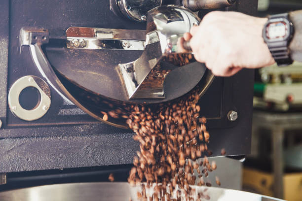 istock Man opening roasters hatch and coffee beans falling out of roastery machine 1364184493