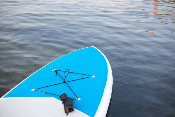 Surf boards on blue clean water surface background. SUP boarding equipment in sunset lights close-up. Outdoor water sports. Surfing lifestyle concept.