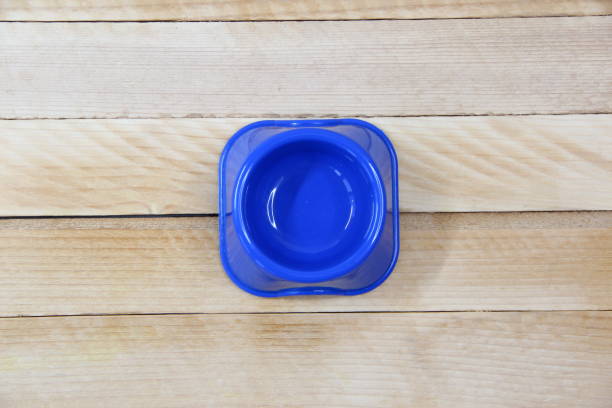 istock Empty blue plastic feeder bowl for pets on the wooden background, top view 1364189734