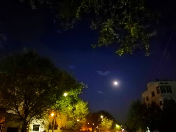 istock Moon over the lightened city 1364197081