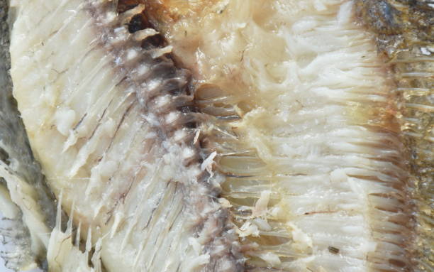 istock deep fried snake skin gourami half on white background 1364197997