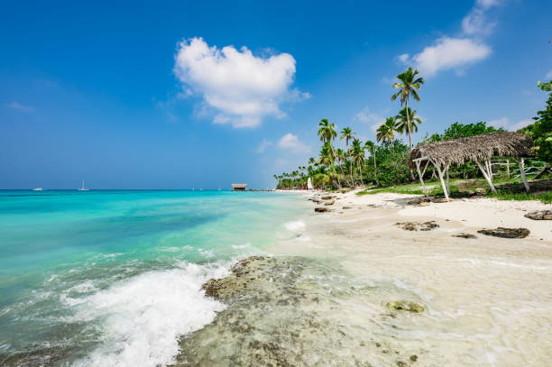 istock Caribbean Sea in Dominican Republic 1364201519
