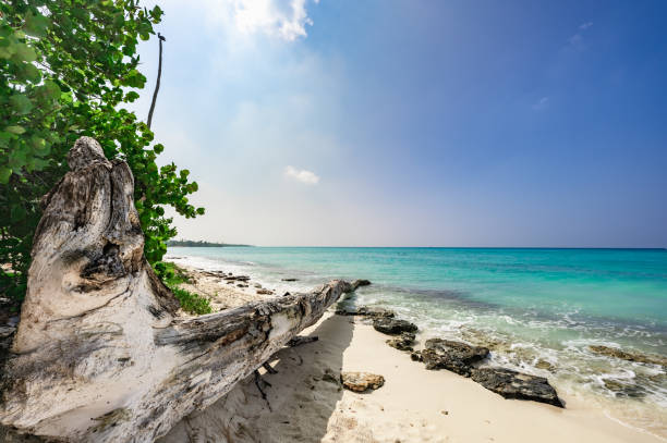 istock Caribbean Sea in Dominican Republic 1364201520