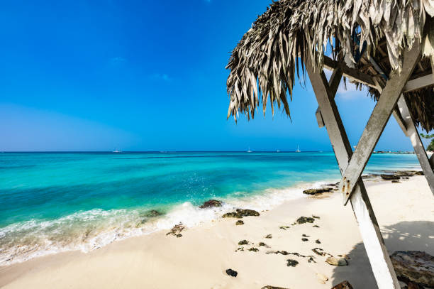 istock Caribbean Sea in Dominican Republic 1364201528