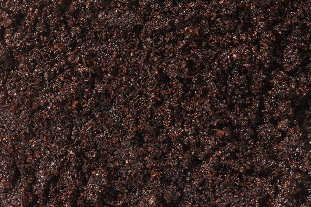 coffee scrub texture, close up view. skin care product. - 5599 imagens e fotografias de stock