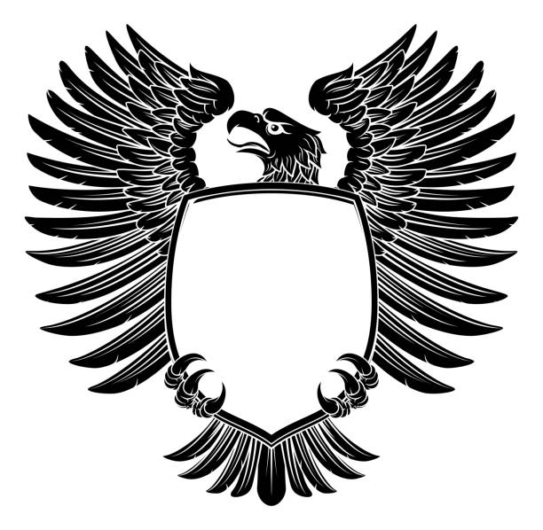 eagle shield vintage grawerowany styl drzeworytu - phoenix tattoo bird wing stock illustrations
