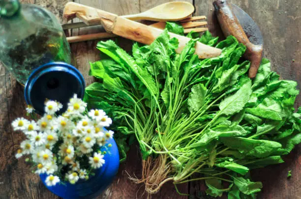 Watercress with flowers and appleapl on wooden table