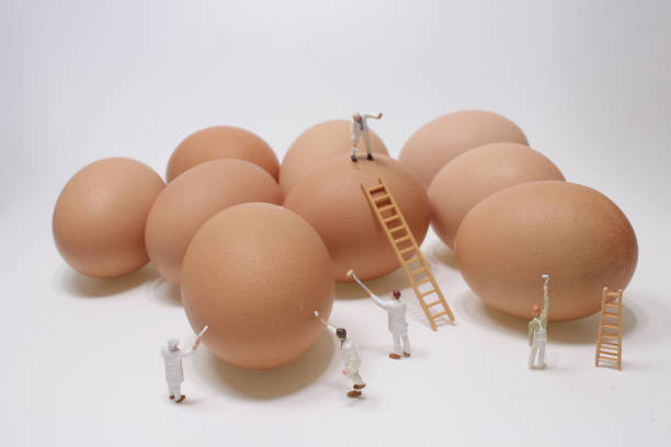 A Mini Of Figure paint the Egg