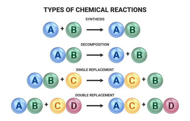 Vector scientific illustration of four types of chemical reactions. Synthesis, decomposition, single replacement, and double replacement. Vector scientific illustration of four basic types of chemical reactions isolated on a white background. Synthesis, decomposition, single replacement, and double replacement. atom nuclear energy physics science stock illustrations