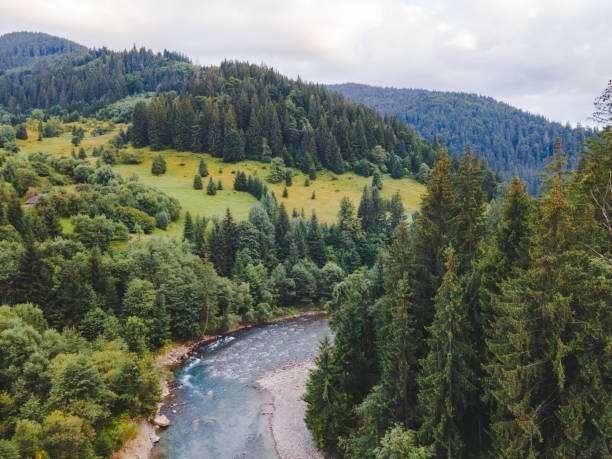 istock aerial view of carpathian mountains with river 1364209692