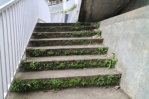 The moss-covered concrete stairs photo