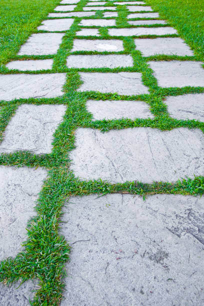 istock Old paving in a public park made with irregularly shaped stone blocks in a pedestrian zone and fresh green lawn 1364212040