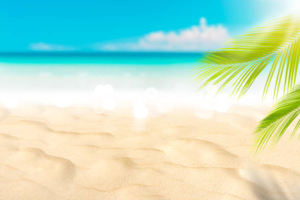 istock Blur beautiful nature green palm leaf on tropical beach with bokeh sun light wave abstract background. Copy space of summer vacation and business travel concept. 1364213937